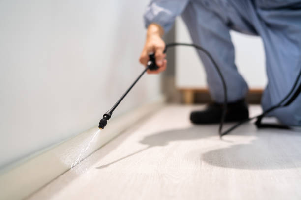 Licensed Termite Control service in Gainesville, VA - Nex Pest Control