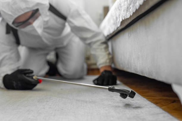 Professional Termite Control technician working in Gainesville, VA