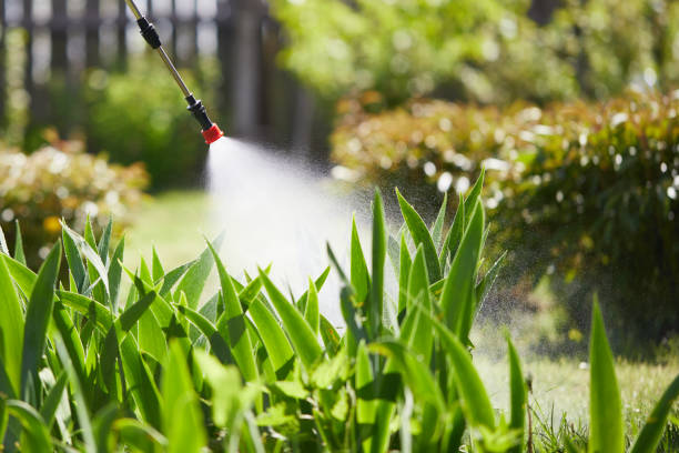 24/7 Emergency Termite Control experts in Gainesville, VA