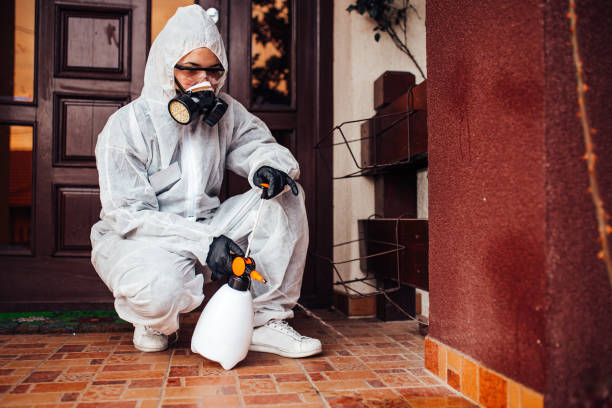 Reliable Termite Control contractor in Gainesville, VA by Nex Pest Control