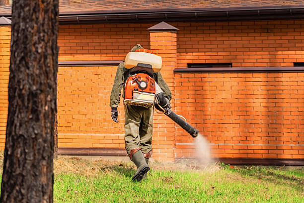 Top rated local Termite Control specialists in Gainesville, VA